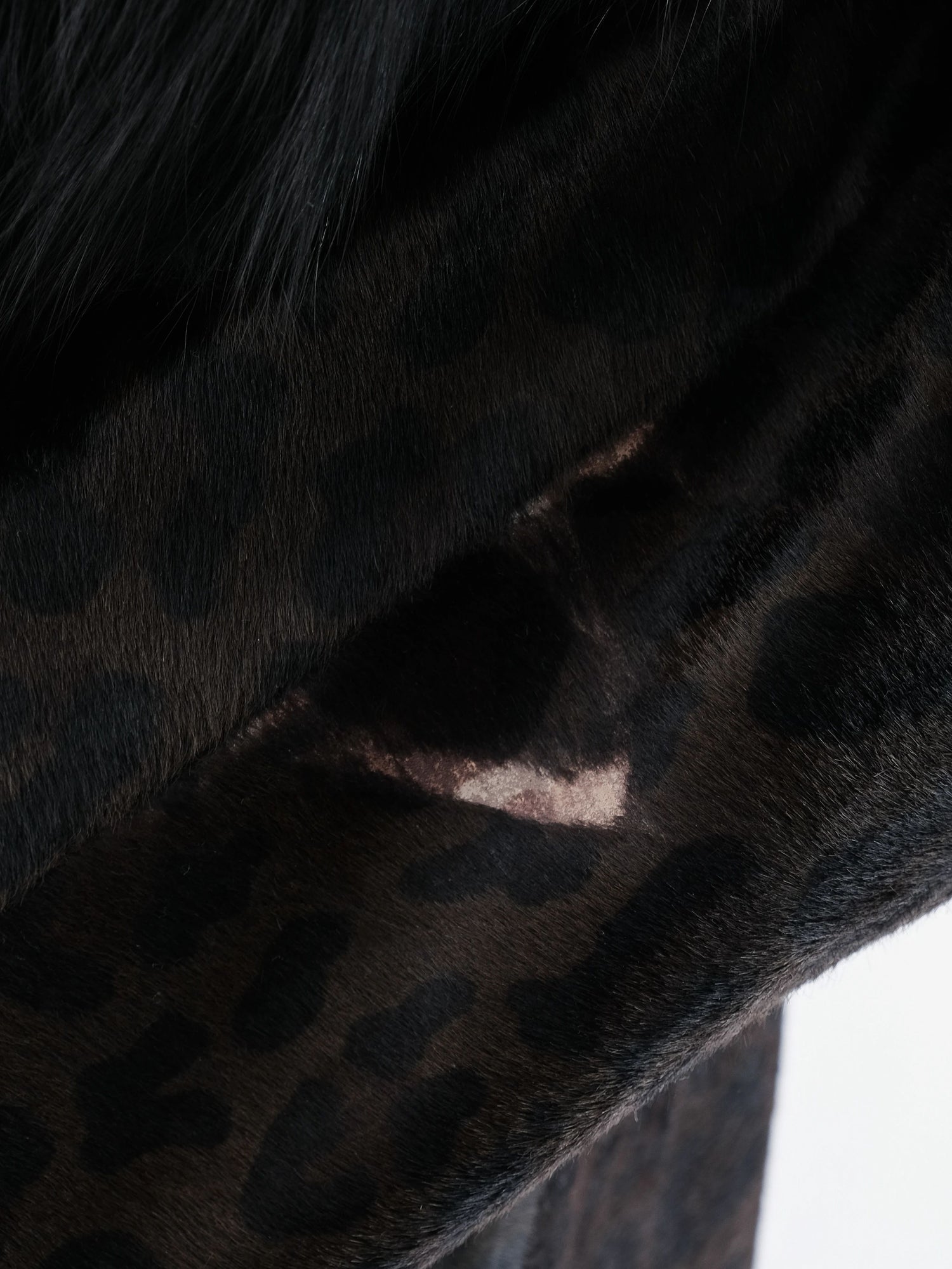 Excellent Prada Orange Fur-Like Coat Size L Women