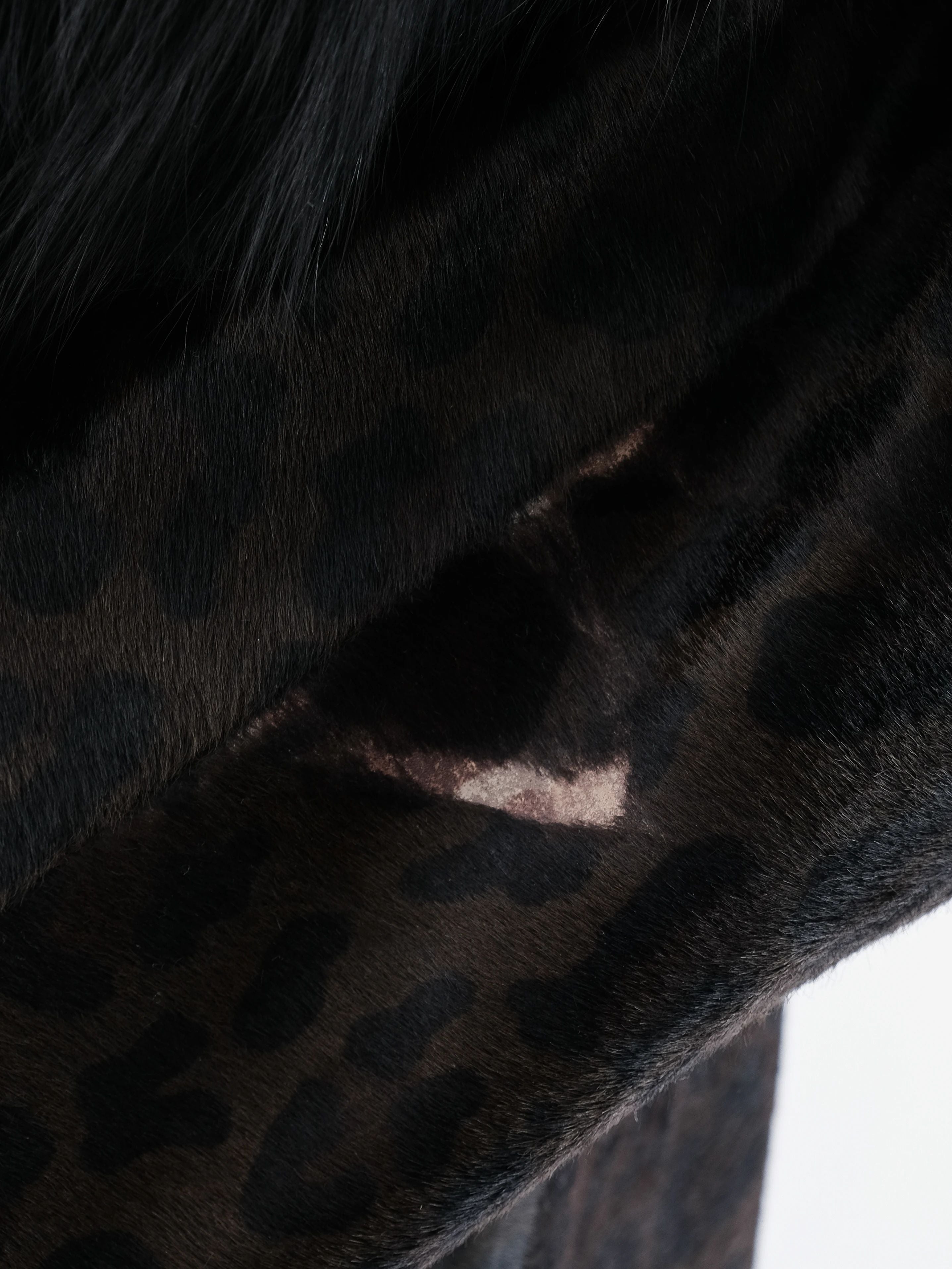 Excellent Prada Orange Fur-Like Coat Size L Women