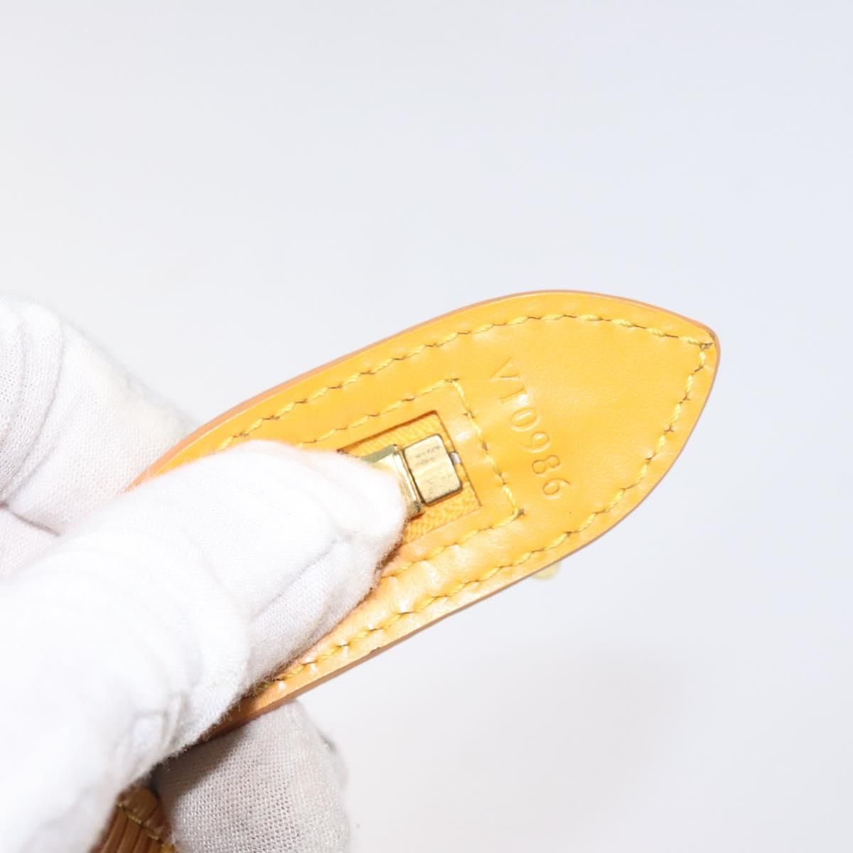 Louis Vuitton Saint Jacques Long Strap PM, Epi