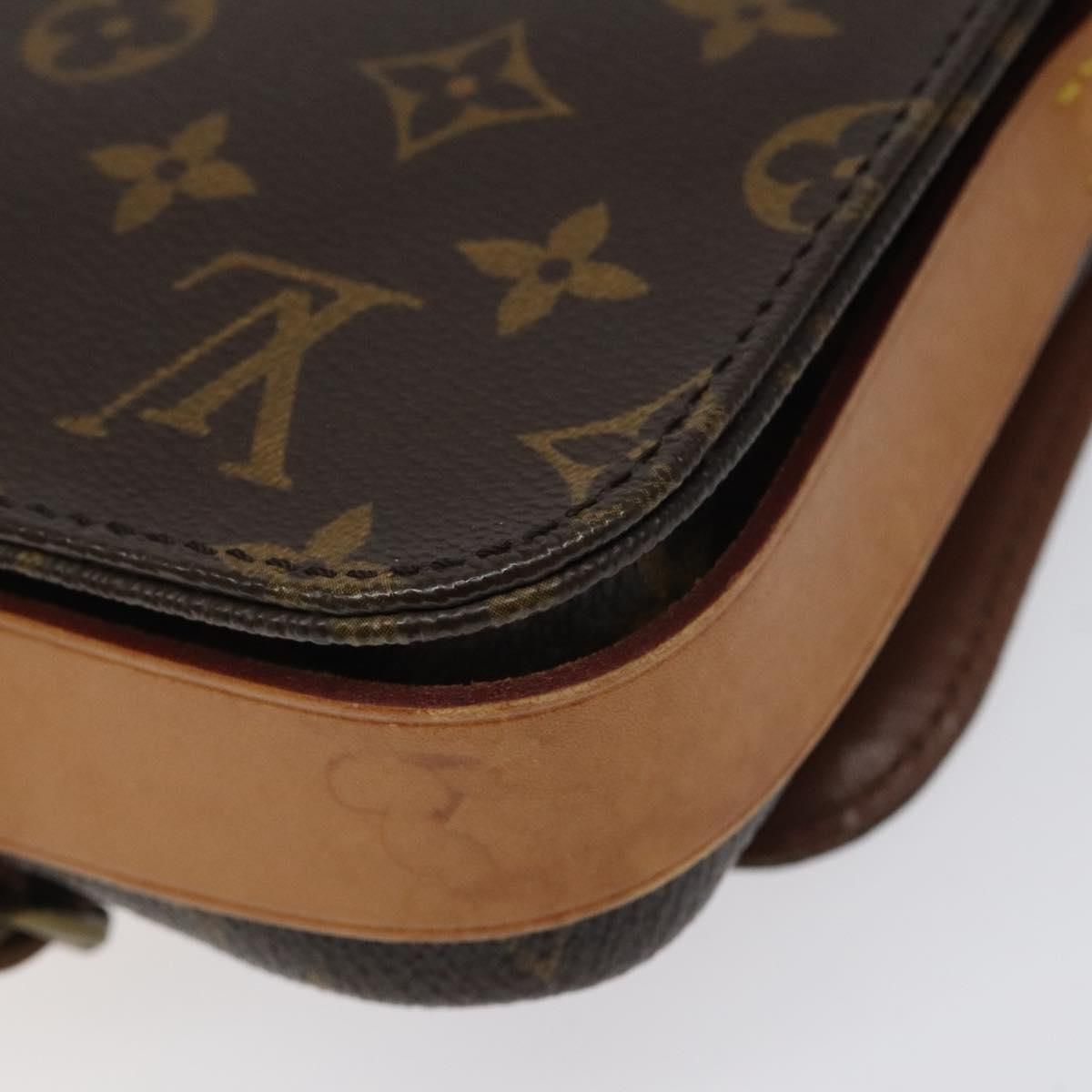 Louis Vuitton Cartouchiere PM, Monogram