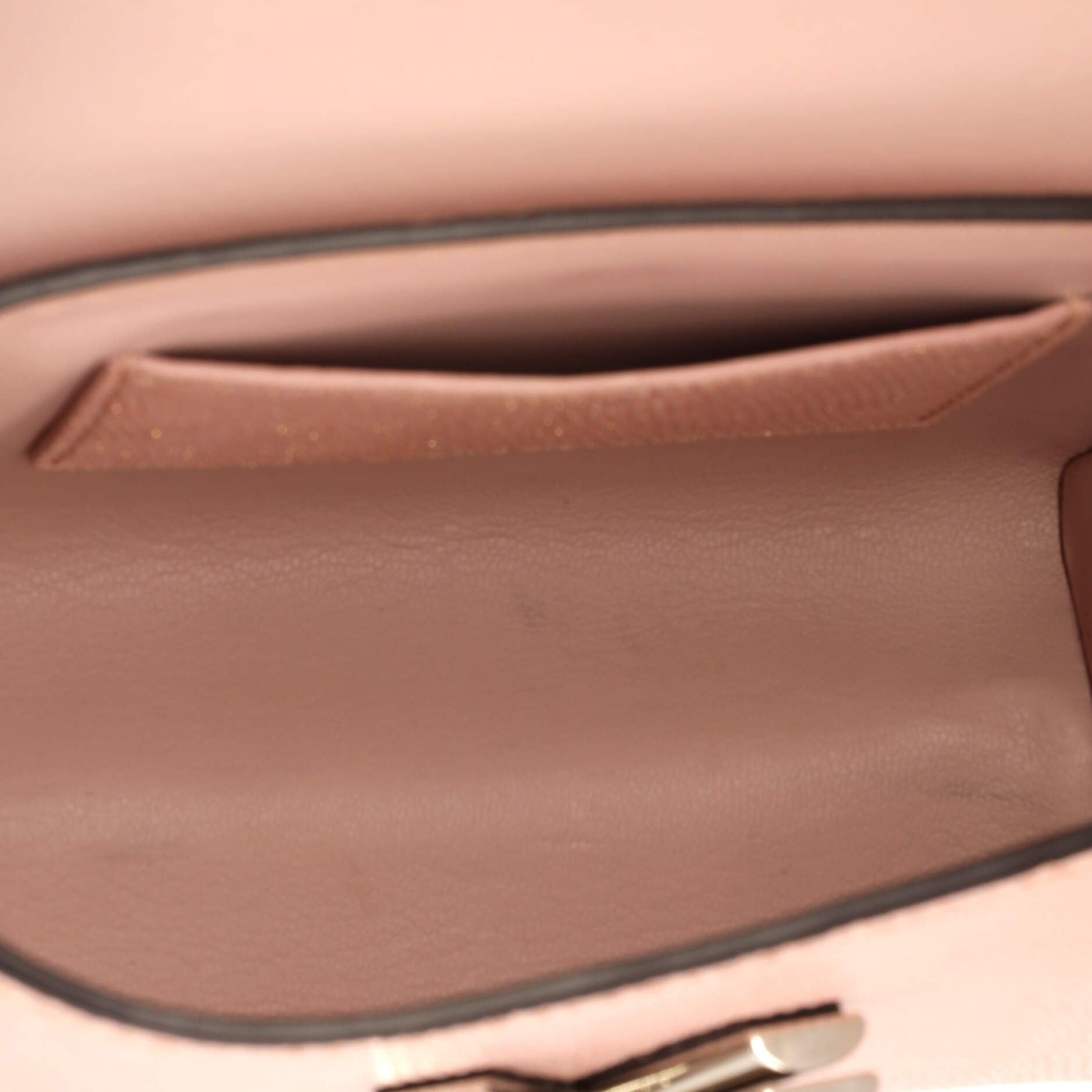 Louis Vuitton Twist Handbag Lizard Mini