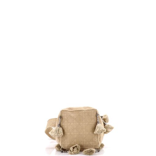 Dior D-Bubble Bucket Bag, Embroidered Canvas