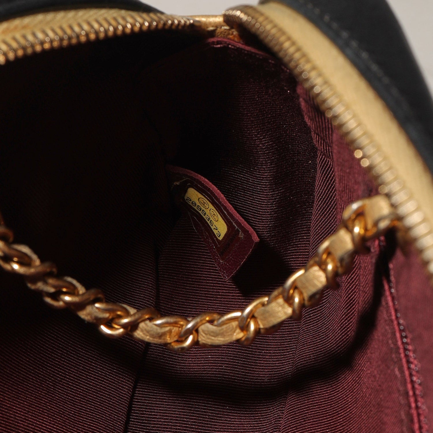 Chanel Chevron Charm Camera Bag