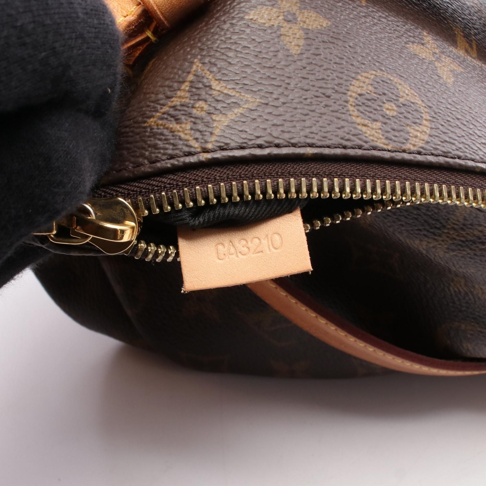Louis Vuitton BumBag, Monogram