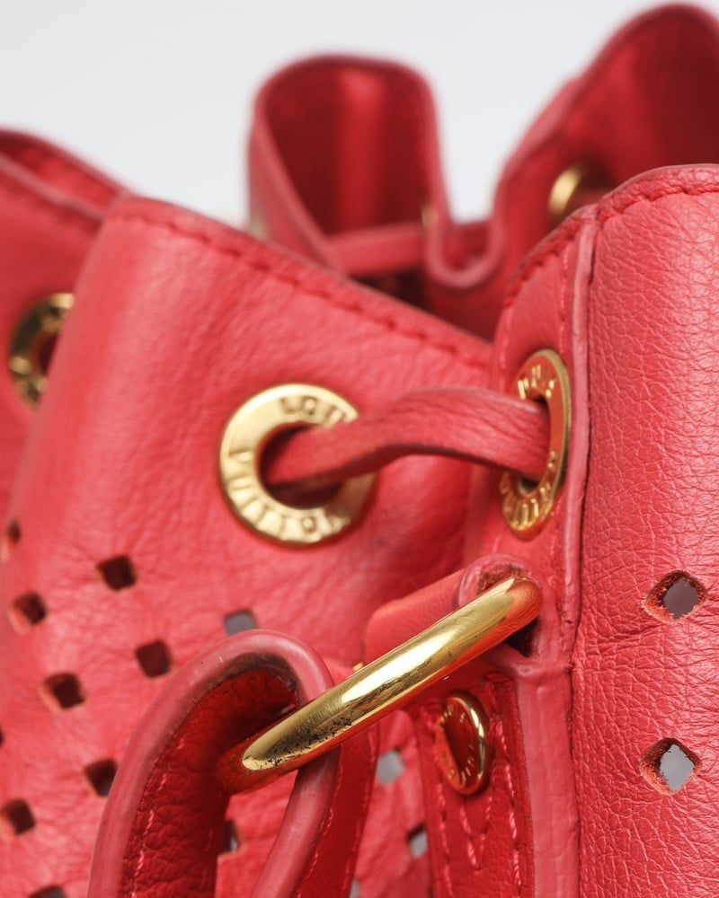 Louis Vuitton Limited Edition Flore Noé Gm Bag