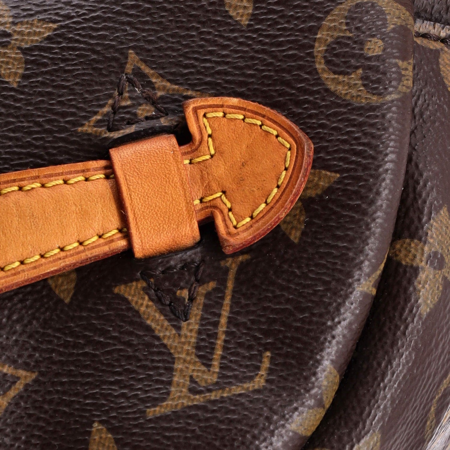 Louis Vuitton Bum Bag Monogram Canvas