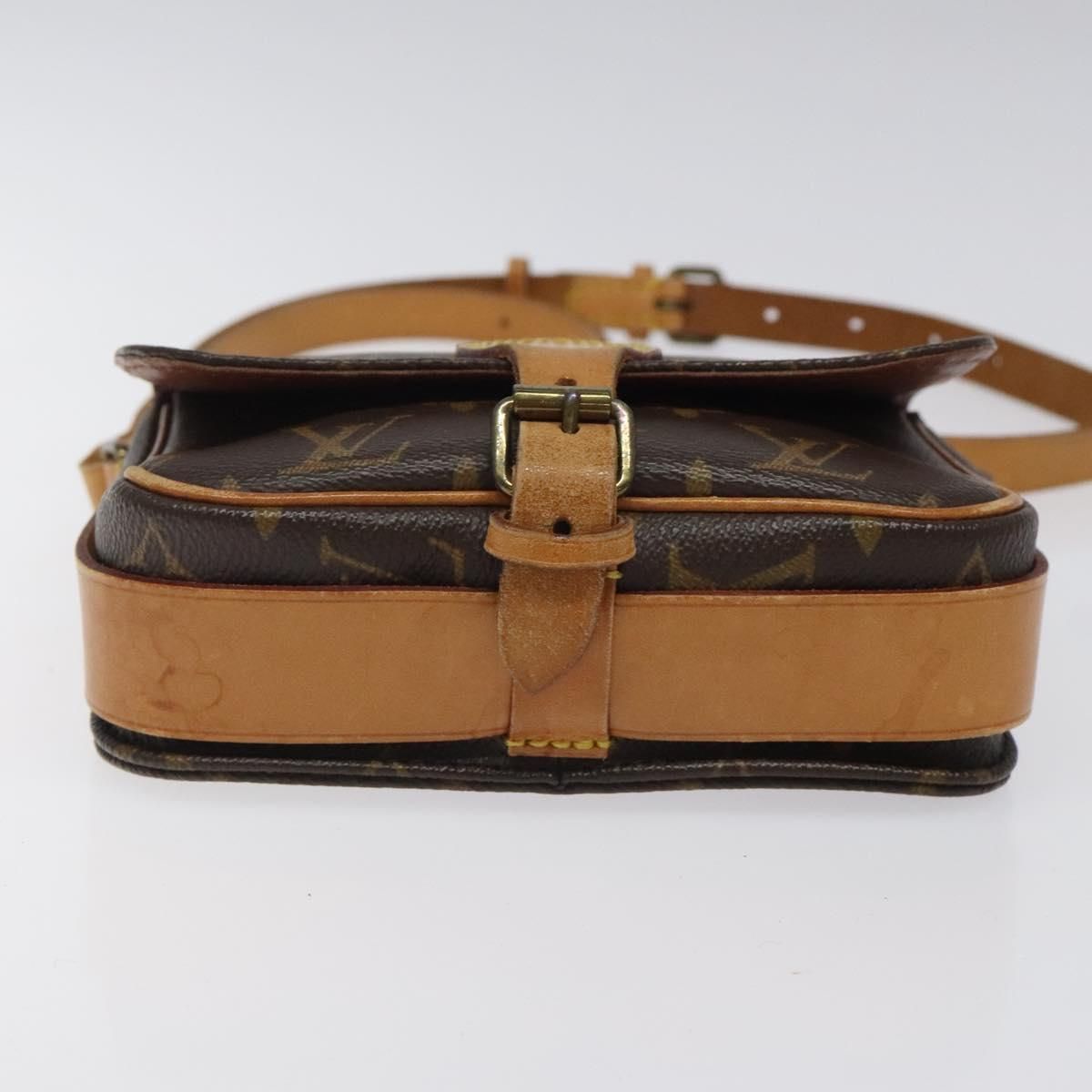 Louis Vuitton Cartouchiere PM, Monogram