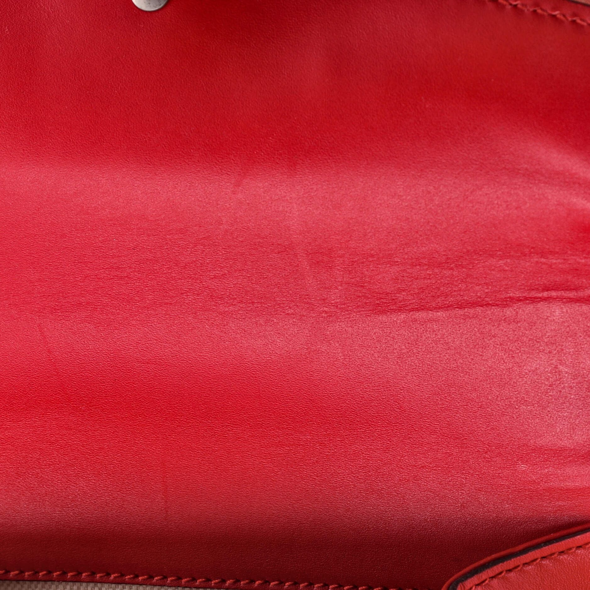 Gucci Dionysus Bag Limited Edition Painted Leather Mini