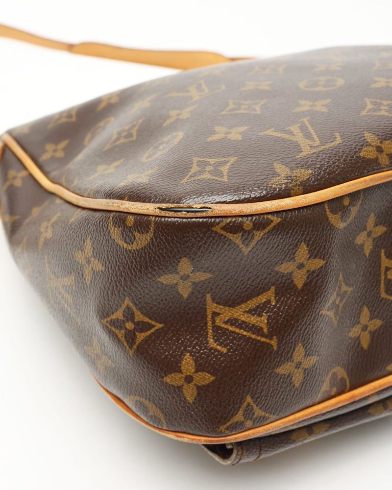 Louis Vuitton Monogram Hudson GM Bag