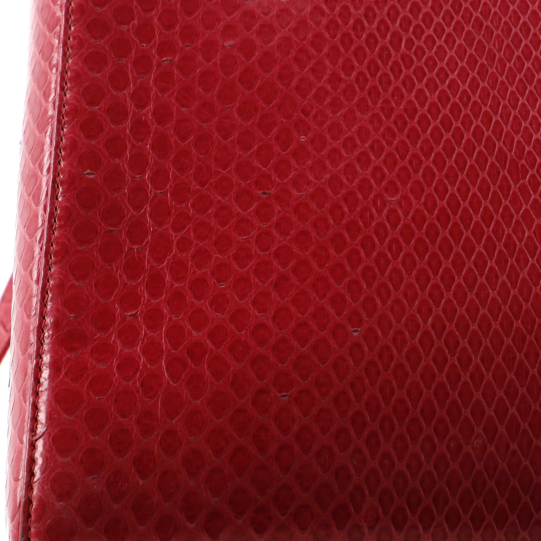 Christian Dior Lady Dior Bag Python Medium