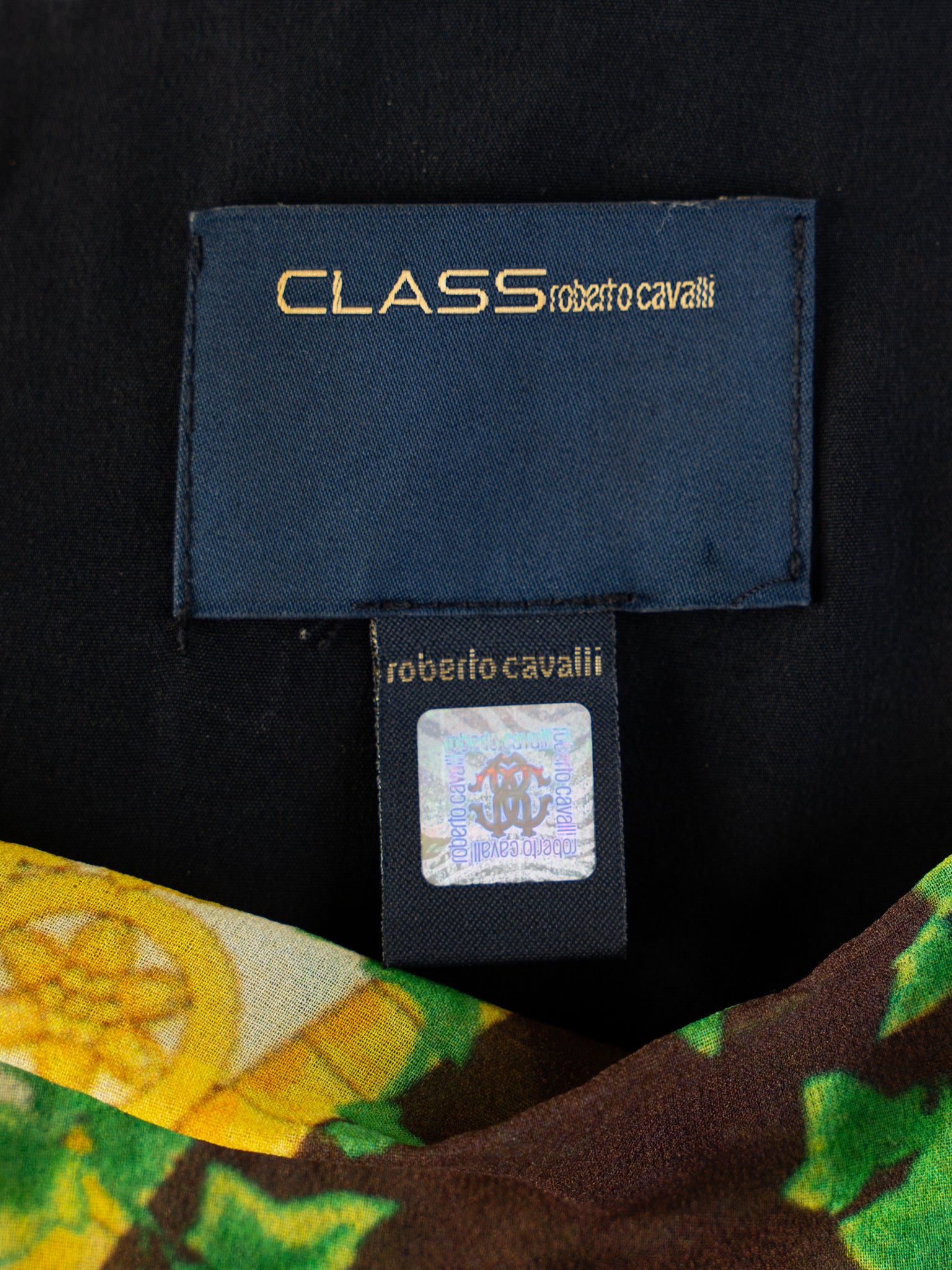 Excellent Class Roberto Cavalli Nature-Inspired Silk Dress Size M