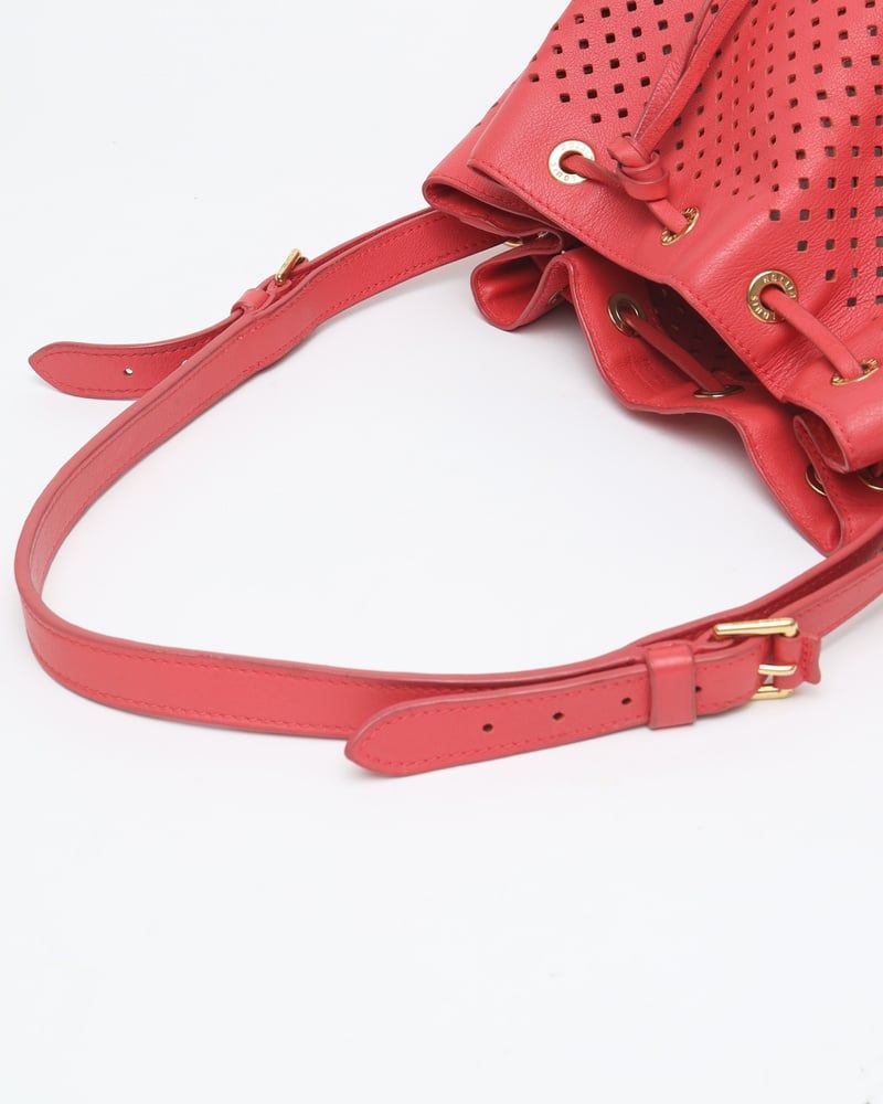 Louis Vuitton Limited Edition Flore Noé Gm Bag