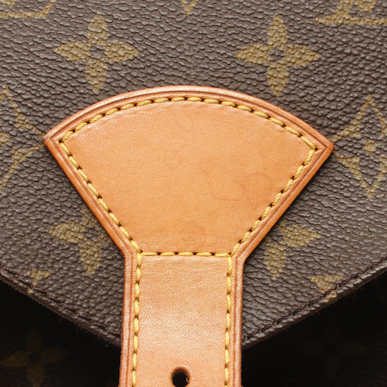 Louis Vuitton Montsouris Gm Brown Backpack Backpack M 51135