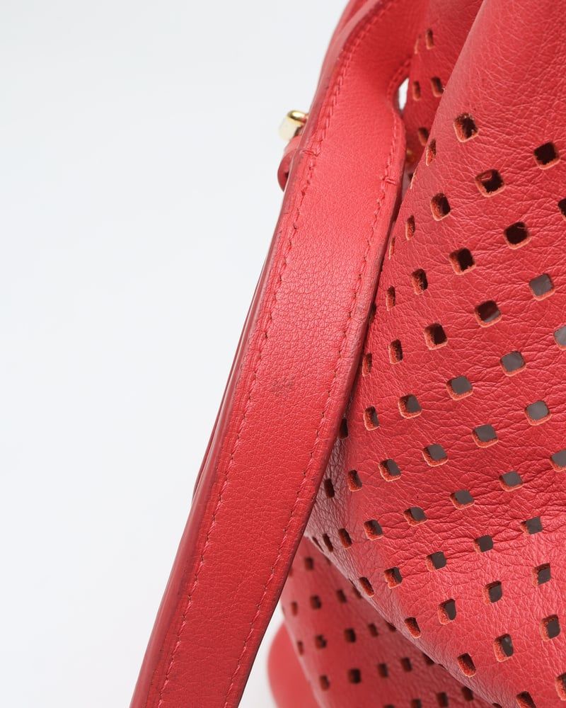 Louis Vuitton Limited Edition Flore Noé Gm Bag