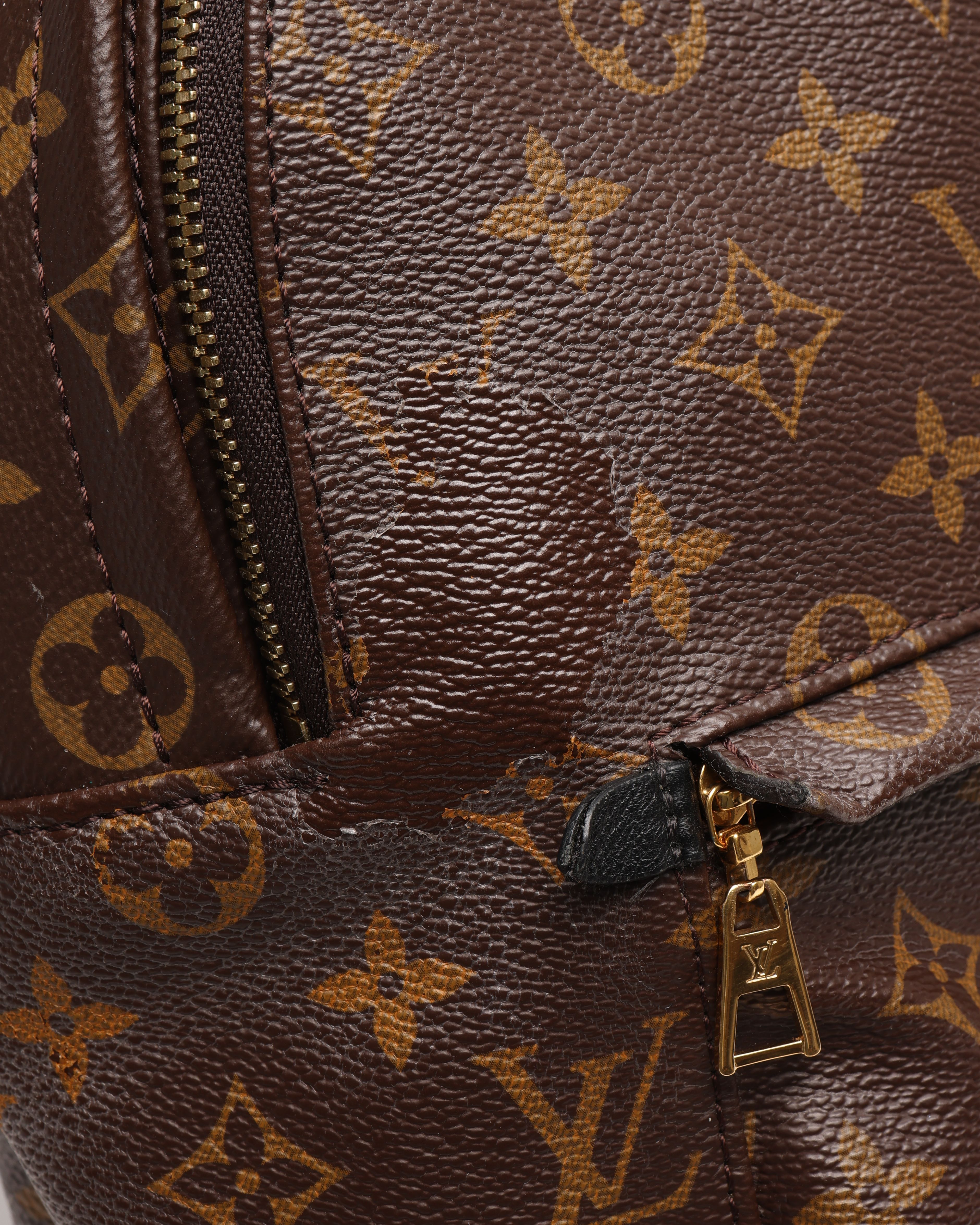 Louis Vuitton Monogram Pm Backpack