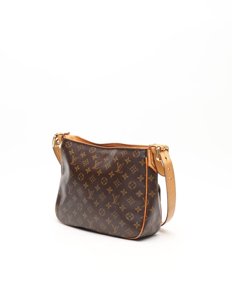 Louis Vuitton Monogram Hudson GM Bag