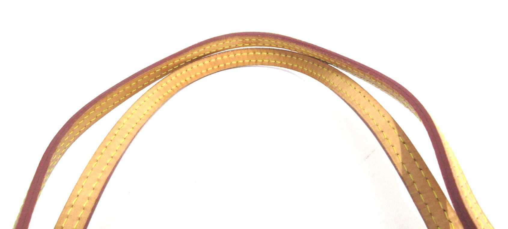 Louis Vuitton Azur Neverfull Pm