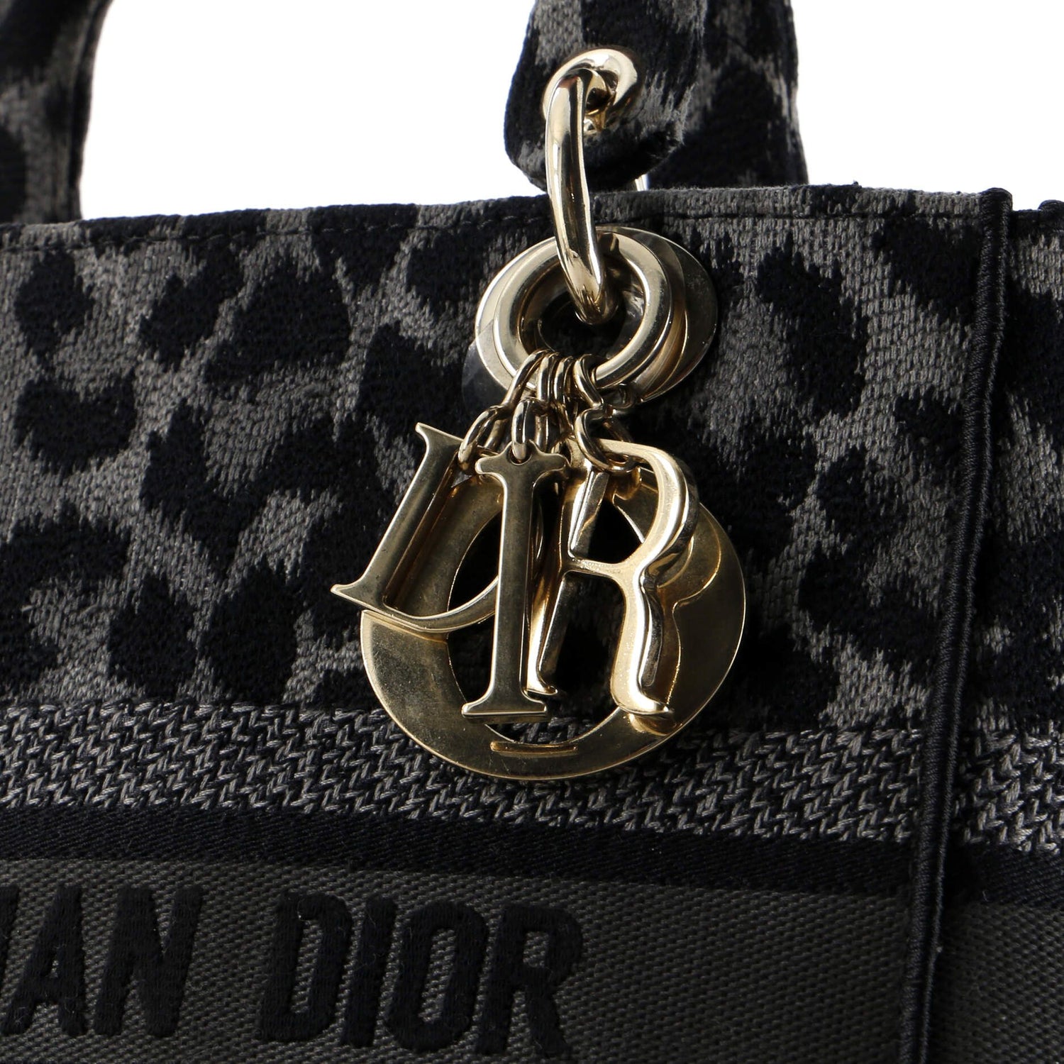 Christian Dior Lady D-Lite Bag Mizza Embroidered Canvas Medium