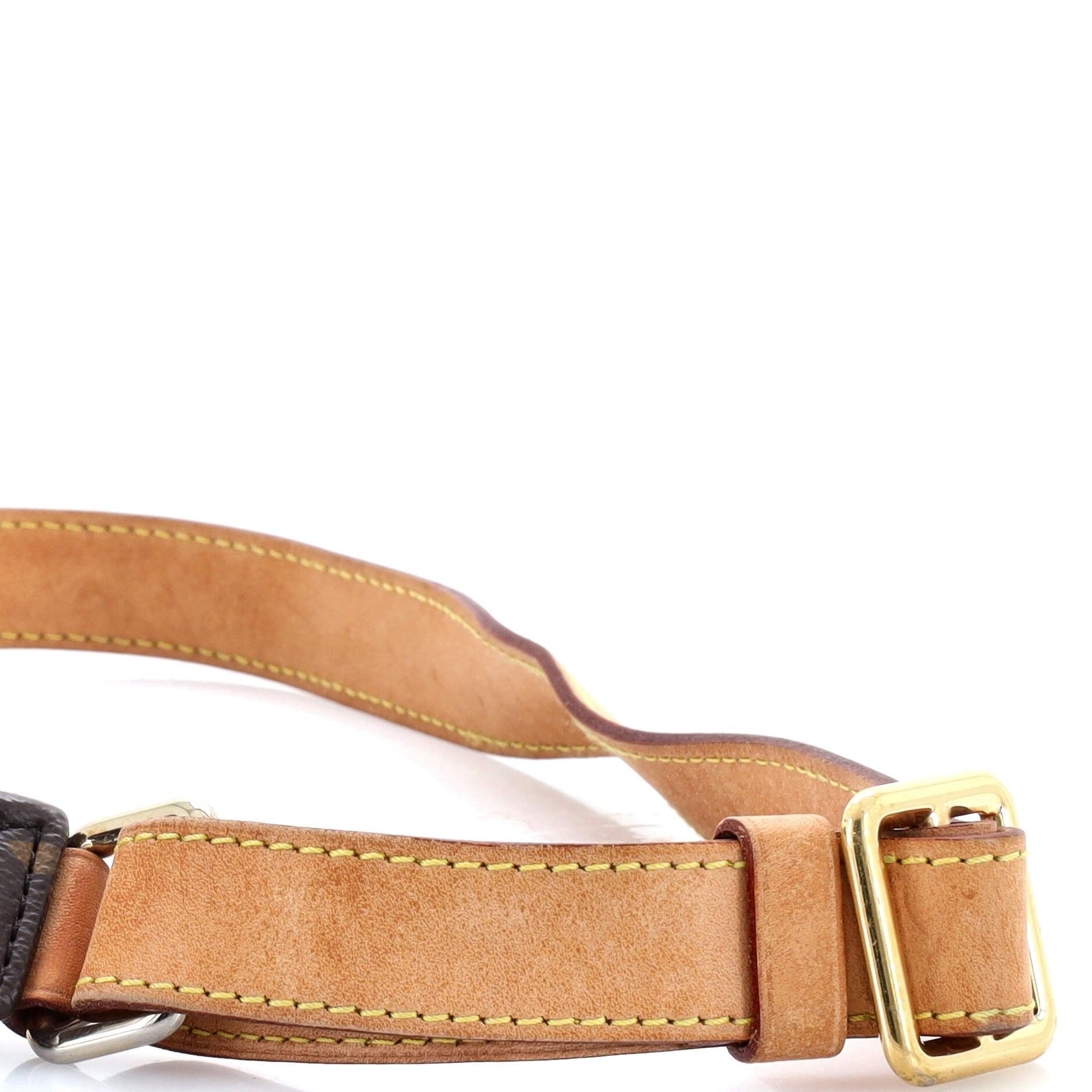 Louis Vuitton Bum Bag Monogram Canvas