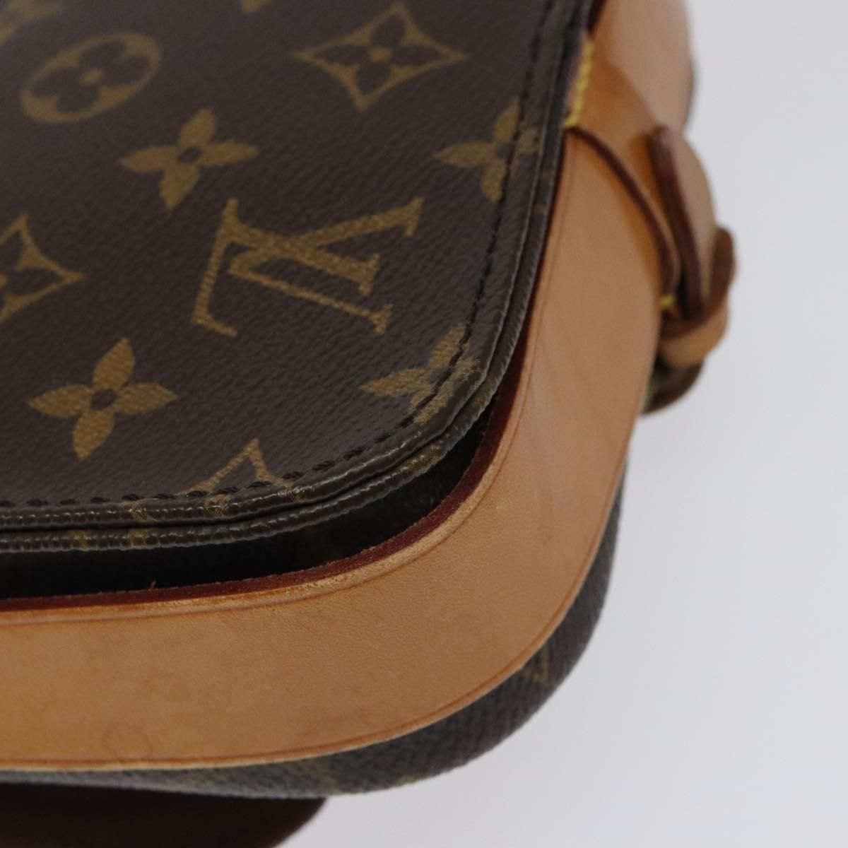 Louis Vuitton Cartouchiere PM, Monogram