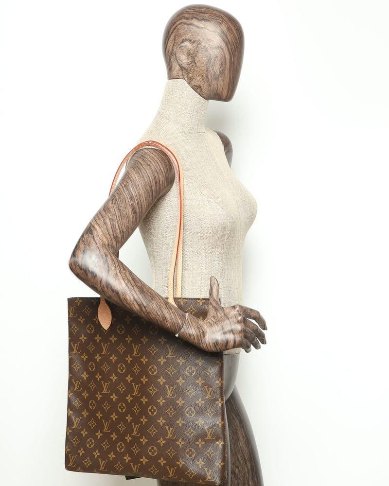 Louis Vuitton Monogram Carry It Bag