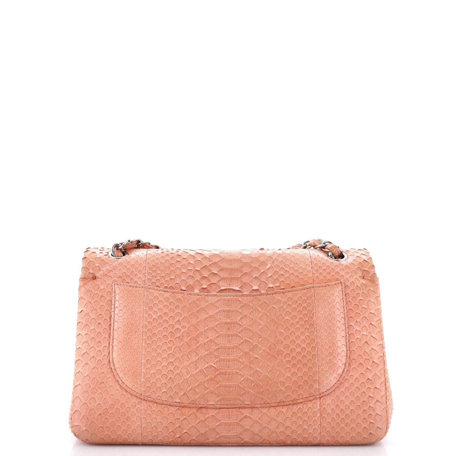Chanel Classic Double Flap Bag Matte Python Jumbo