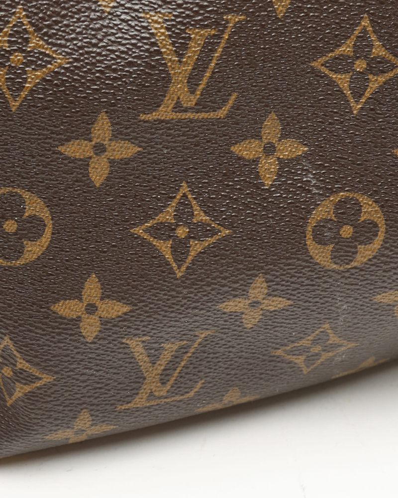 Louis Vuitton Monogram Palermo PM Bag
