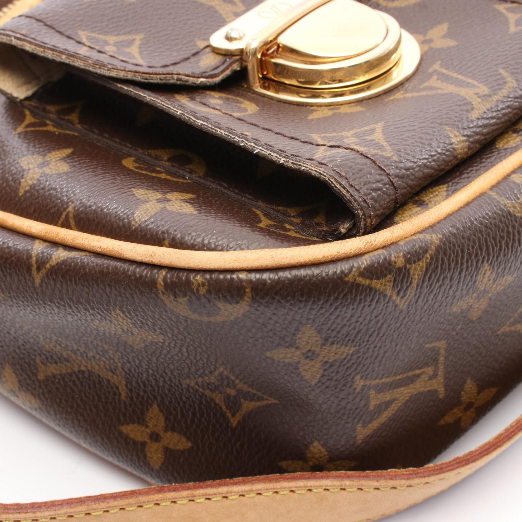 Louis Vuitton Hudson GM, Monogram