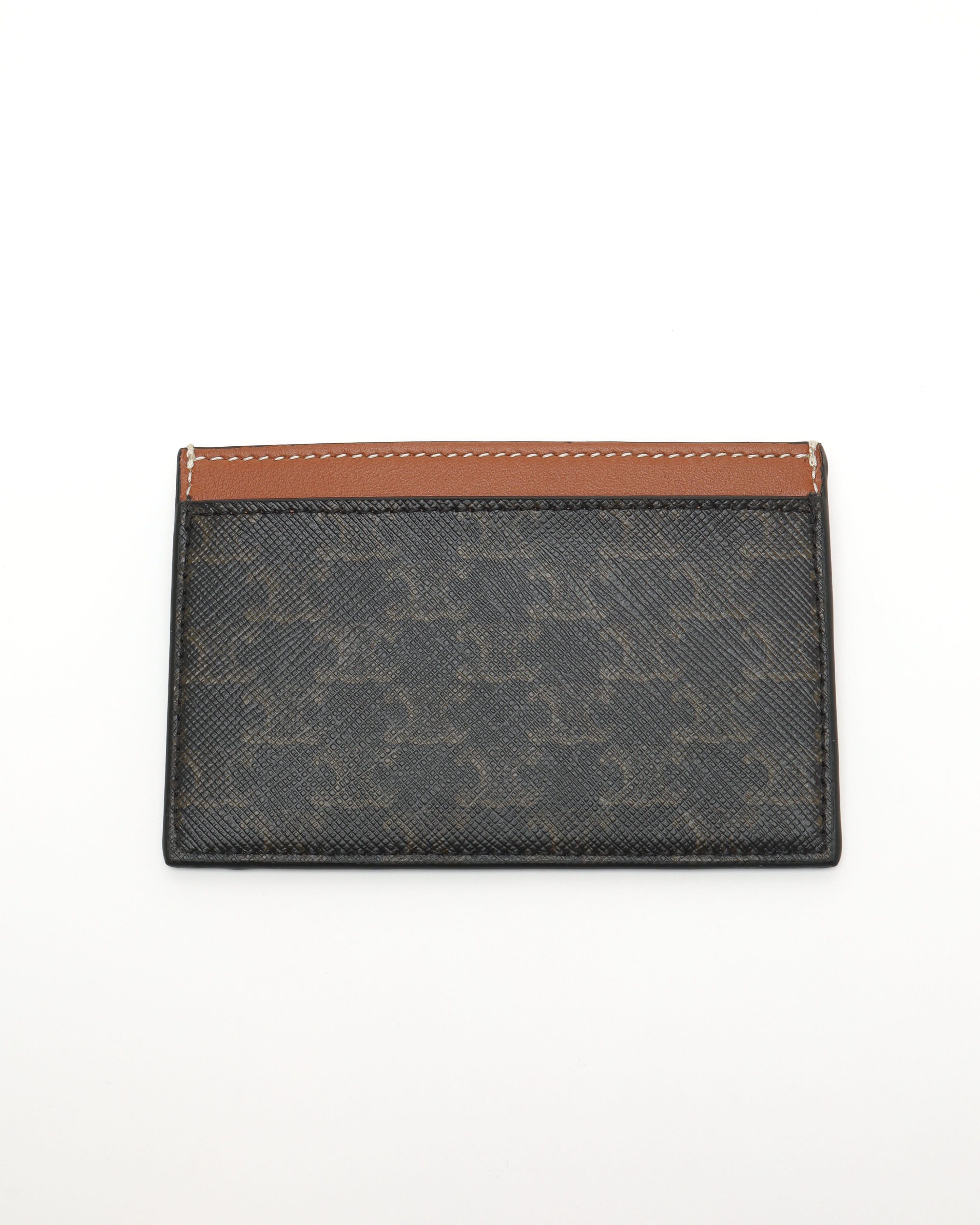 Celine Triomphe Canvas With Celine Print