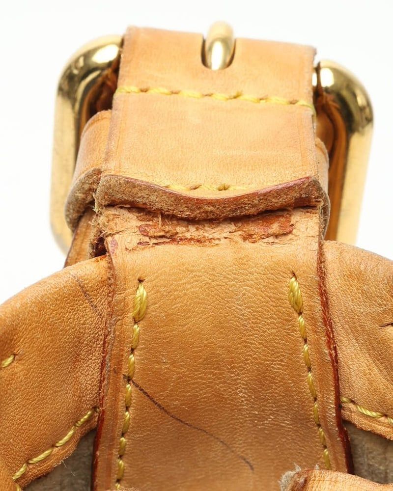 Louis Vuitton Monogram Hudson GM Bag