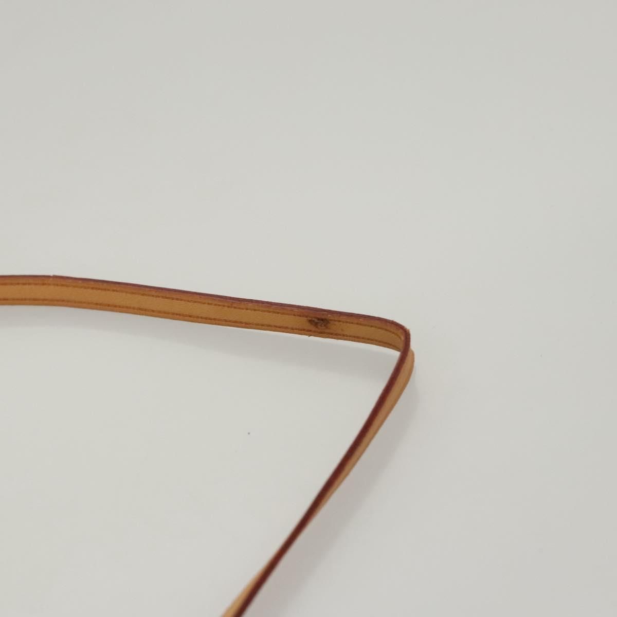 Louis Vuitton Papillon Pochette, Monogram