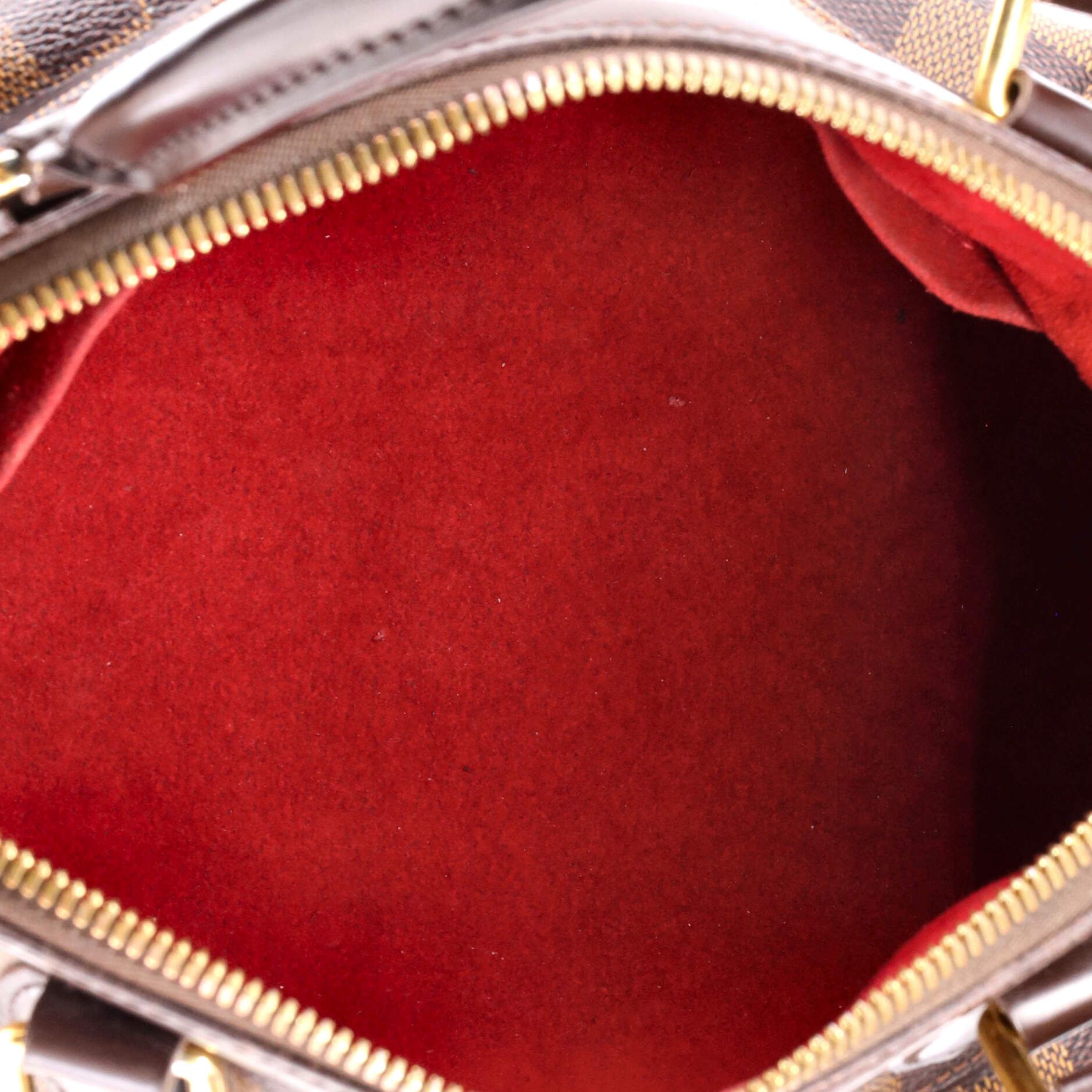 Louis Vuitton Trevi Handbag Damier Gm