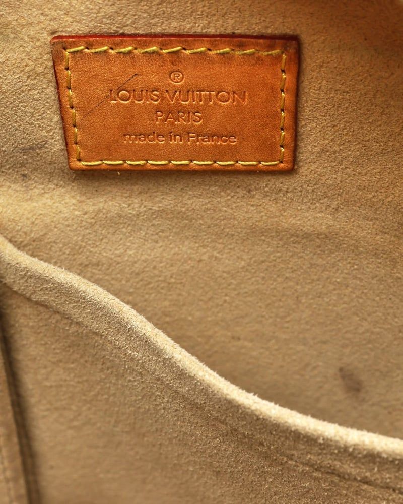 Louis Vuitton Monogram Hudson GM Bag