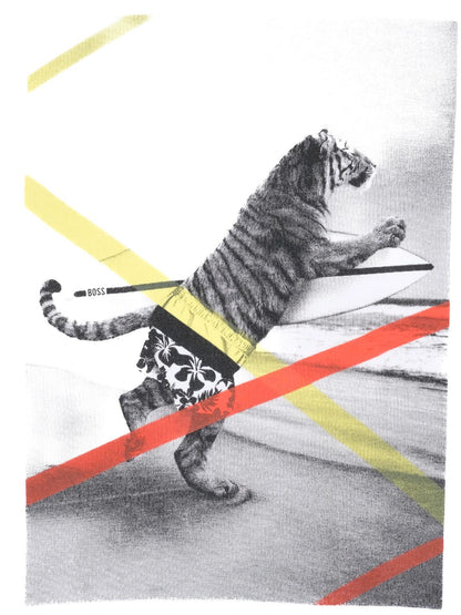 Excellent Hugo Boss White Cotton T-Shirt for Kids, Size 6