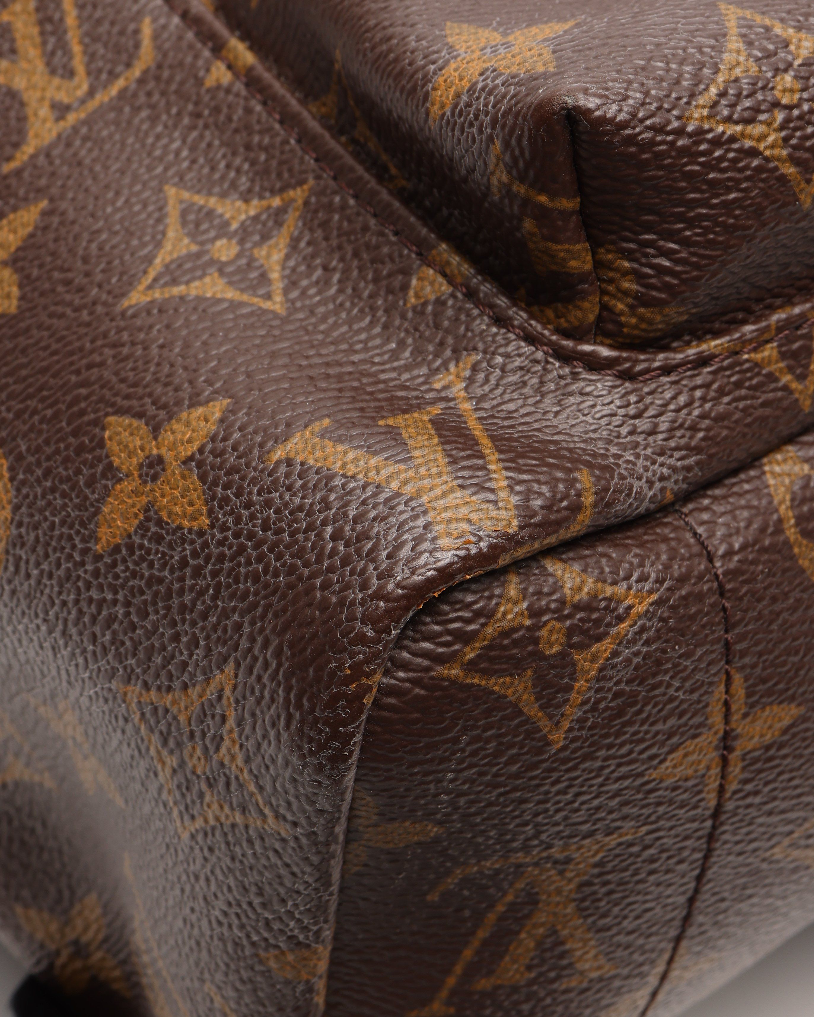 Louis Vuitton Monogram Pm Backpack