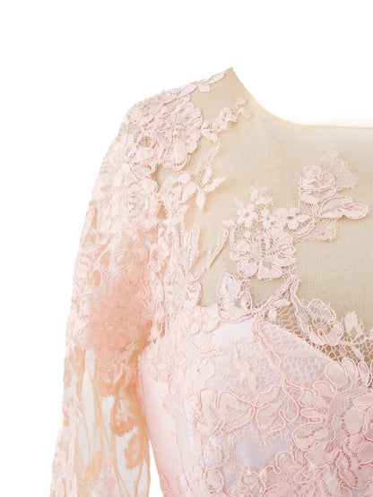 Excellent Pronovias Pink Evening Gown Lace Detail Size XXL