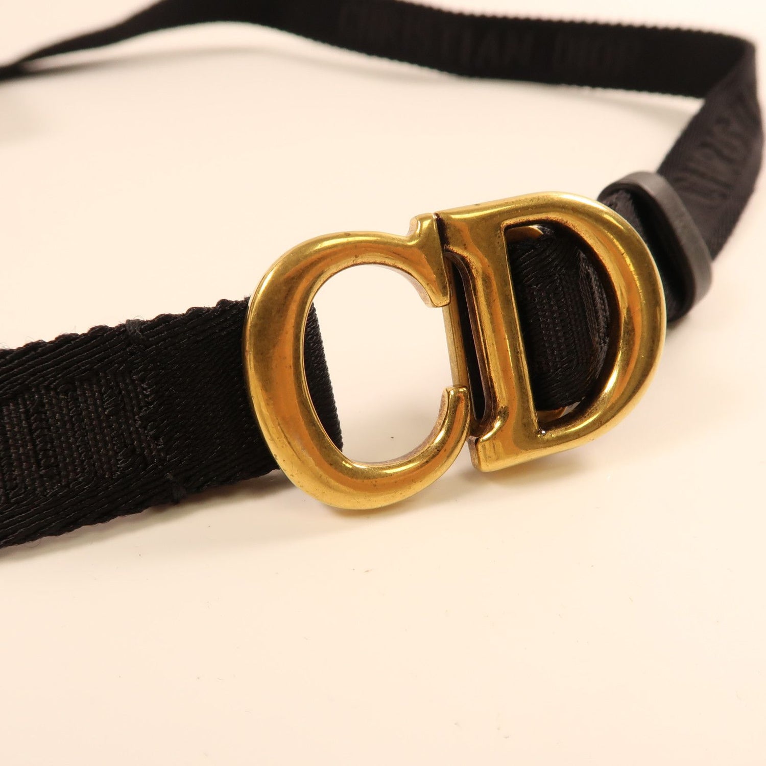 Dior Canvas Golden Waist Bag Red Waist Bag Body Bag Red Canvas Saddle Belt Bag