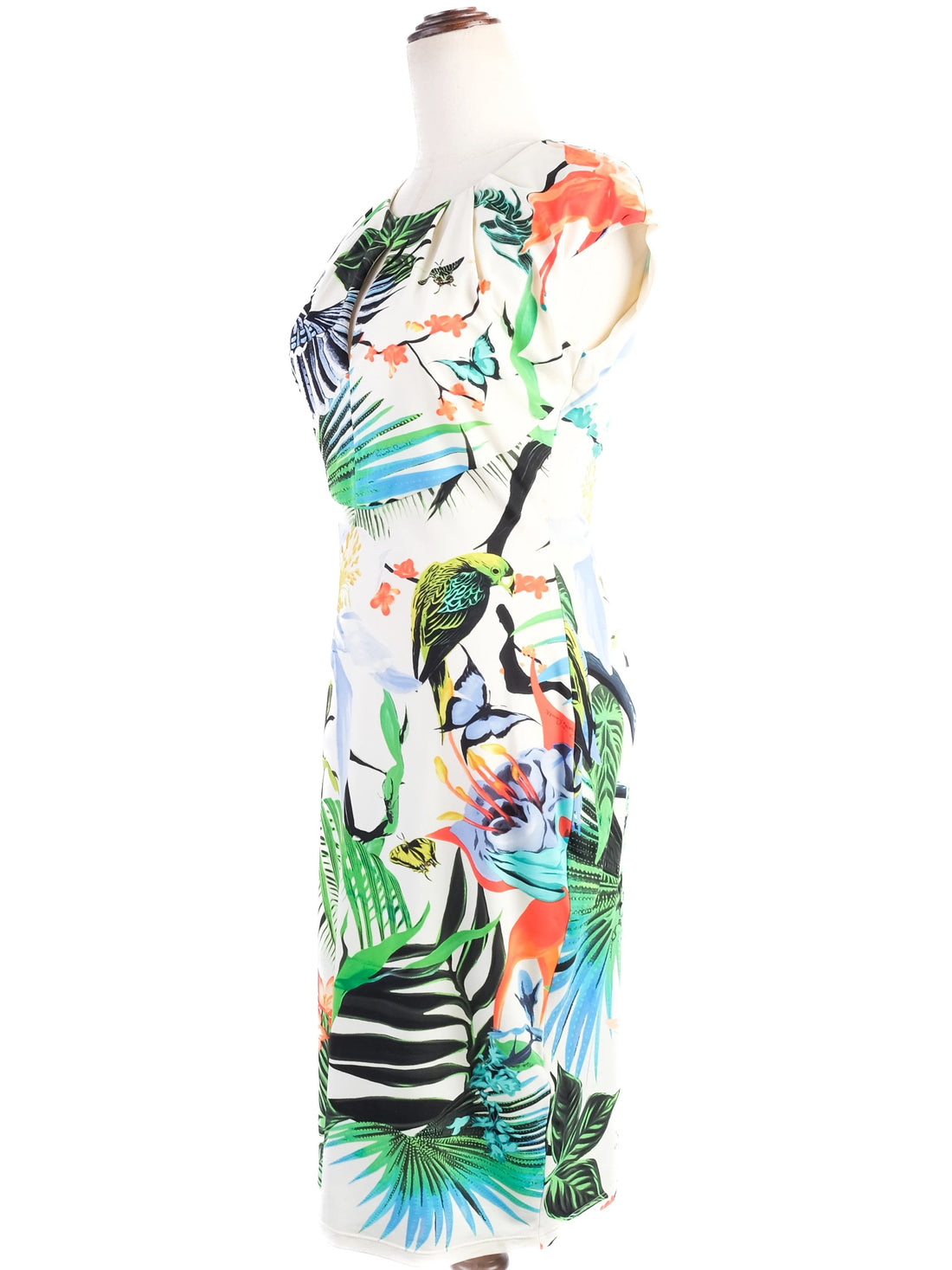 Excellent Roberto Cavalli Women&