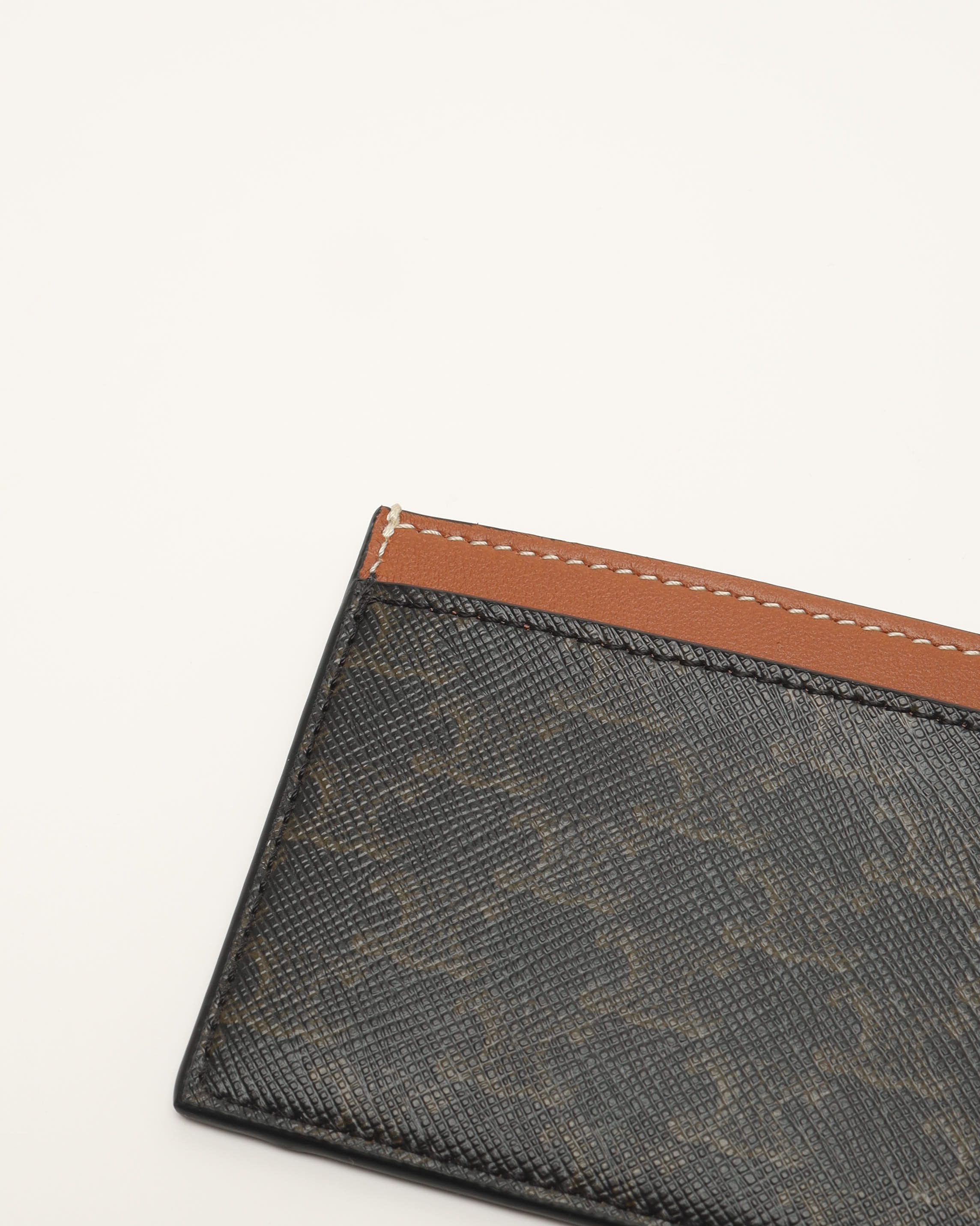 Celine Triomphe Canvas With Celine Print