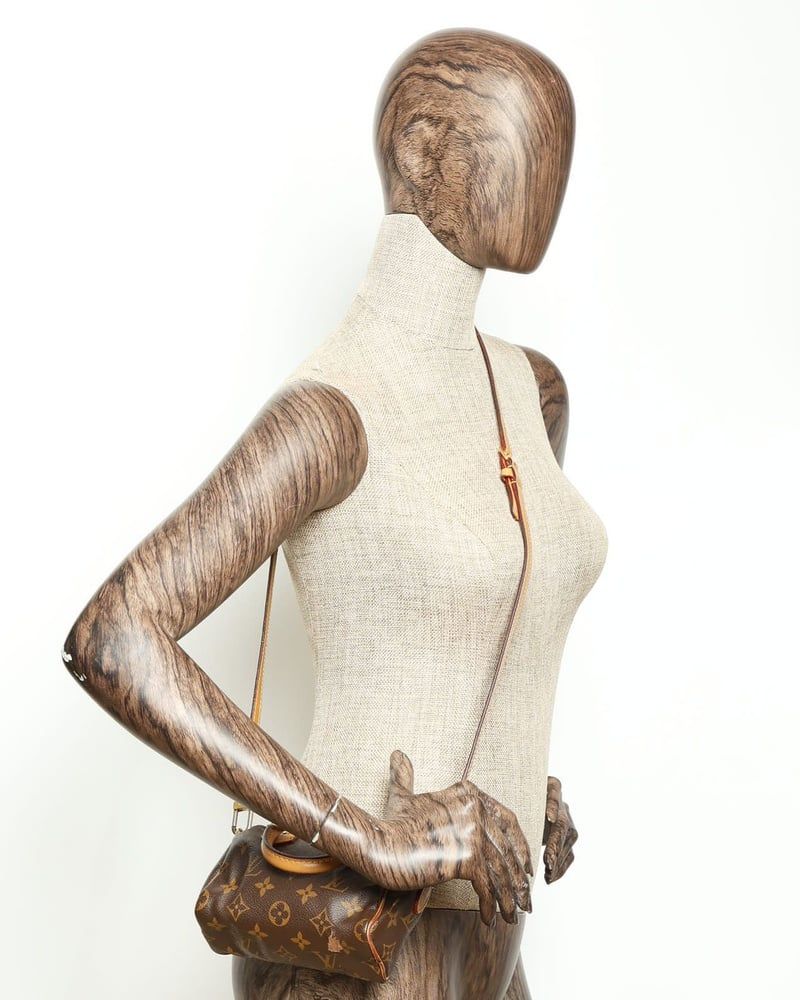 Louis Vuitton Monogram Nano Speedy Bag