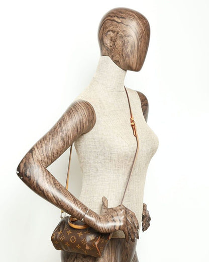 Louis Vuitton Monogram Nano Speedy Bag