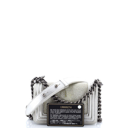 Chanel Boy Flap Bag Stingray Mini