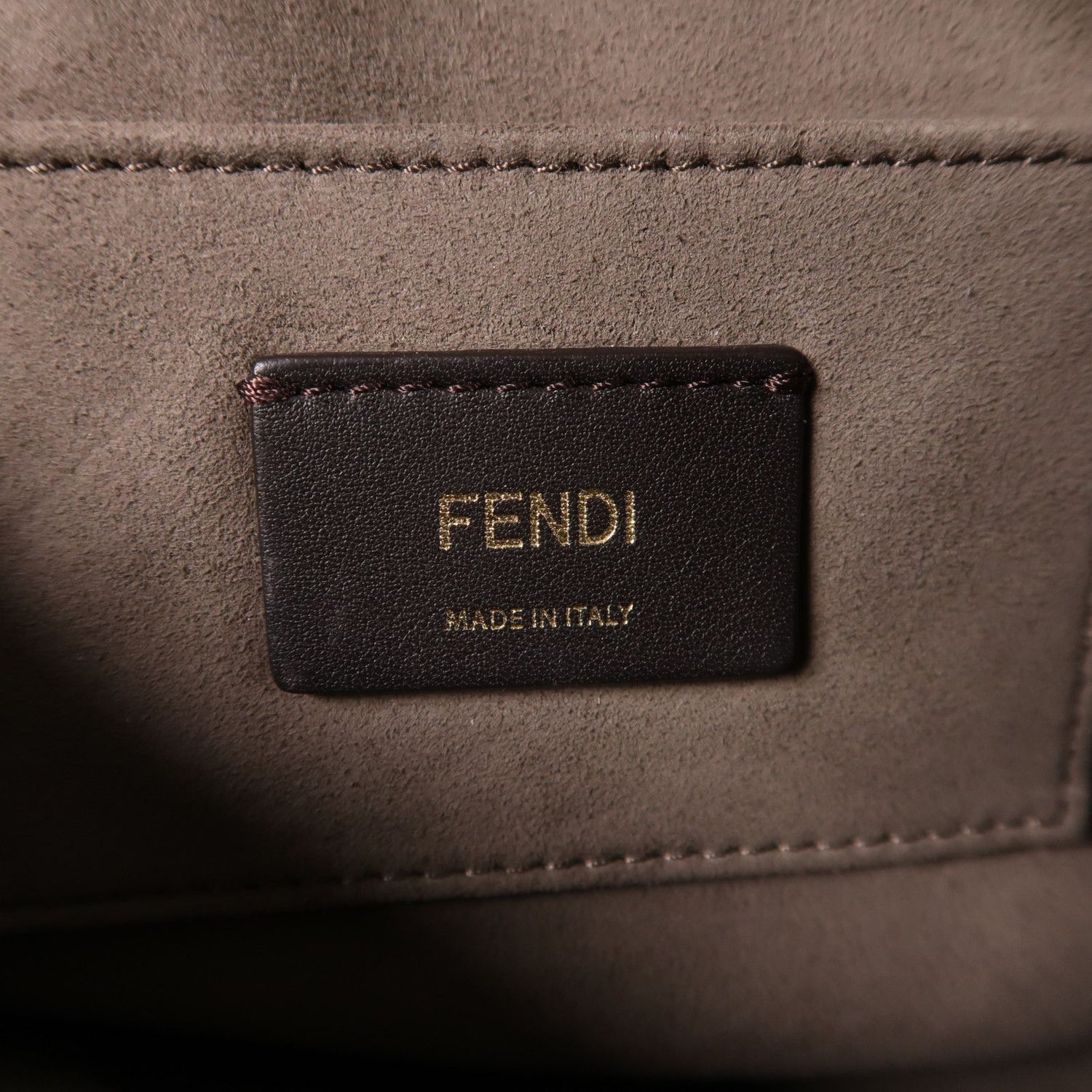 Fendi Vitello Century F is Fendi Camera Case