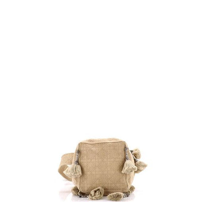 Dior D-Bubble Bucket Bag, Embroidered Canvas