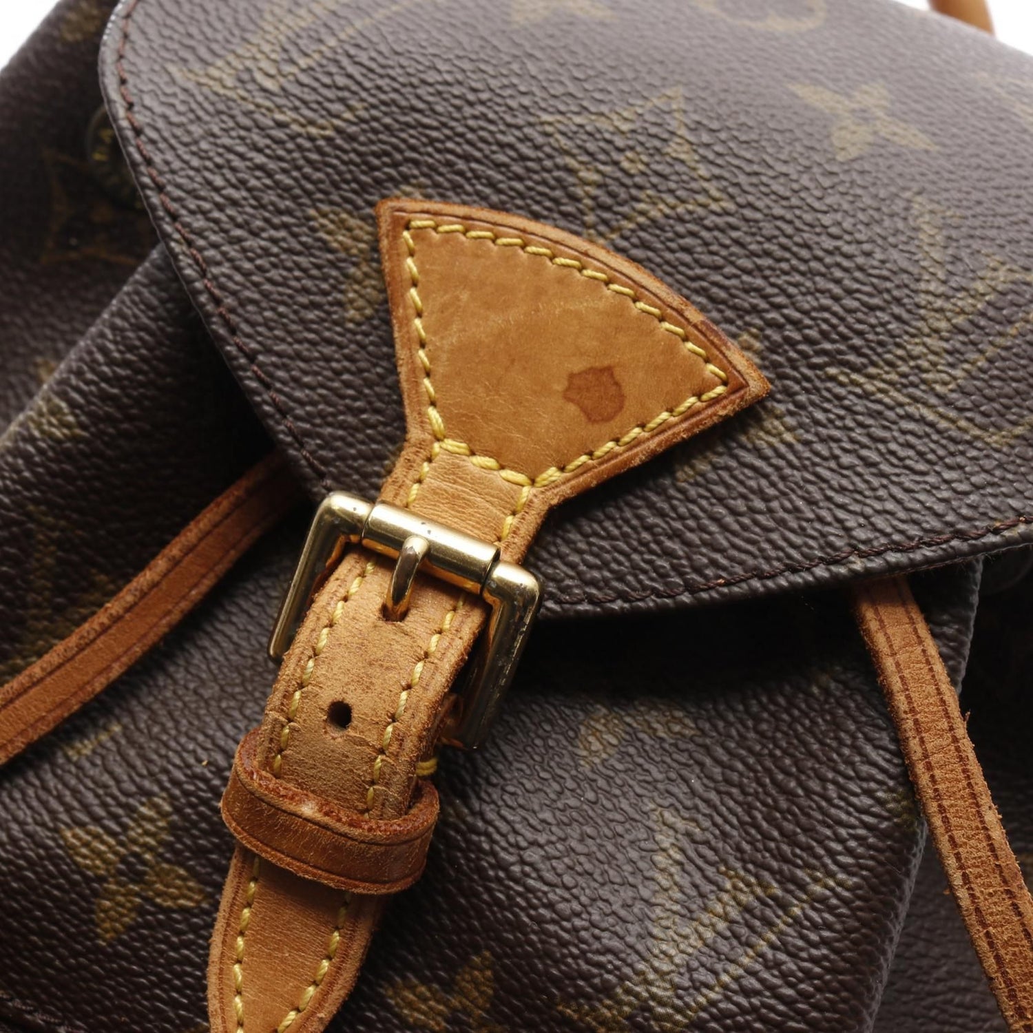 Louis Vuitton Montsouris PM, Monogram