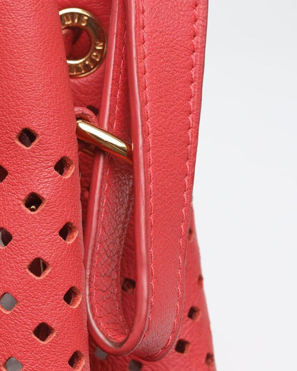 Louis Vuitton Limited Edition Flore Noé Gm Bag
