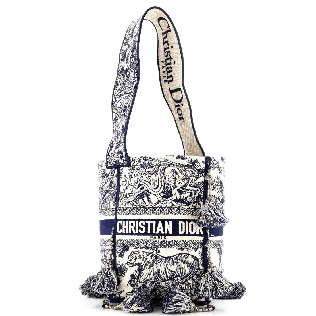 Dior D-Bubble Bucket Bag, Embroidered Canvas