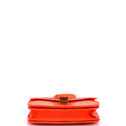 Celine Classic Box Bag Python Medium