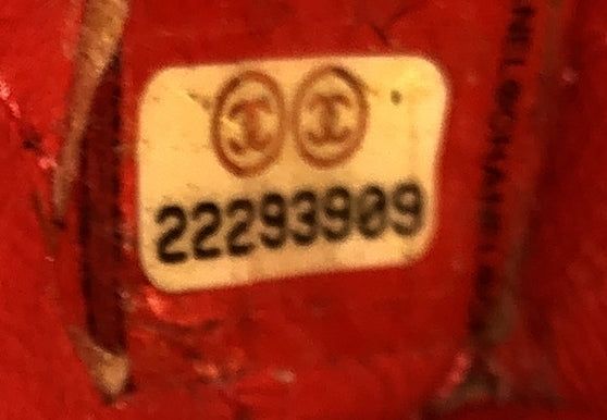 Chanel Urban Luxury Backpack Python Medium