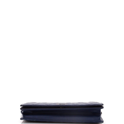 Chanel Ballerine Flap Bag Quilted Lambskin Medium